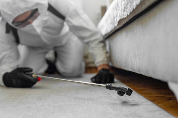 Professional Termite Control technician working in Medina County County, OH